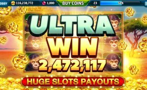 দায়িত্বশীল জয় অভিজ্ঞতার pp vip bet বার্তা